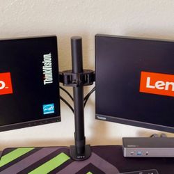Computer Monitors by Lenovo