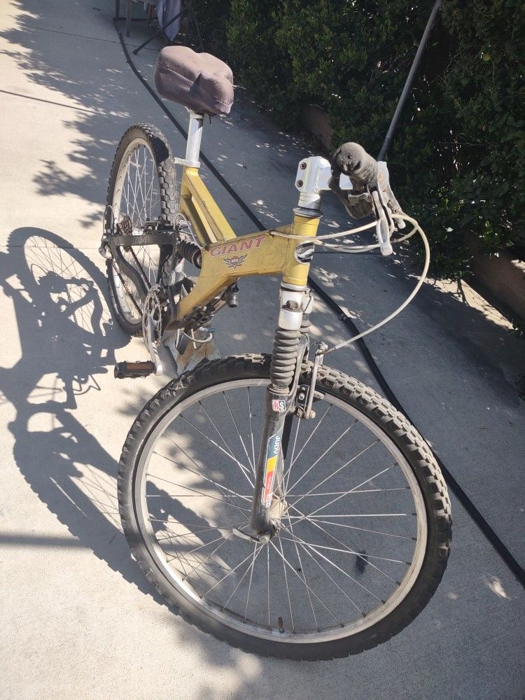 Mountain Bike