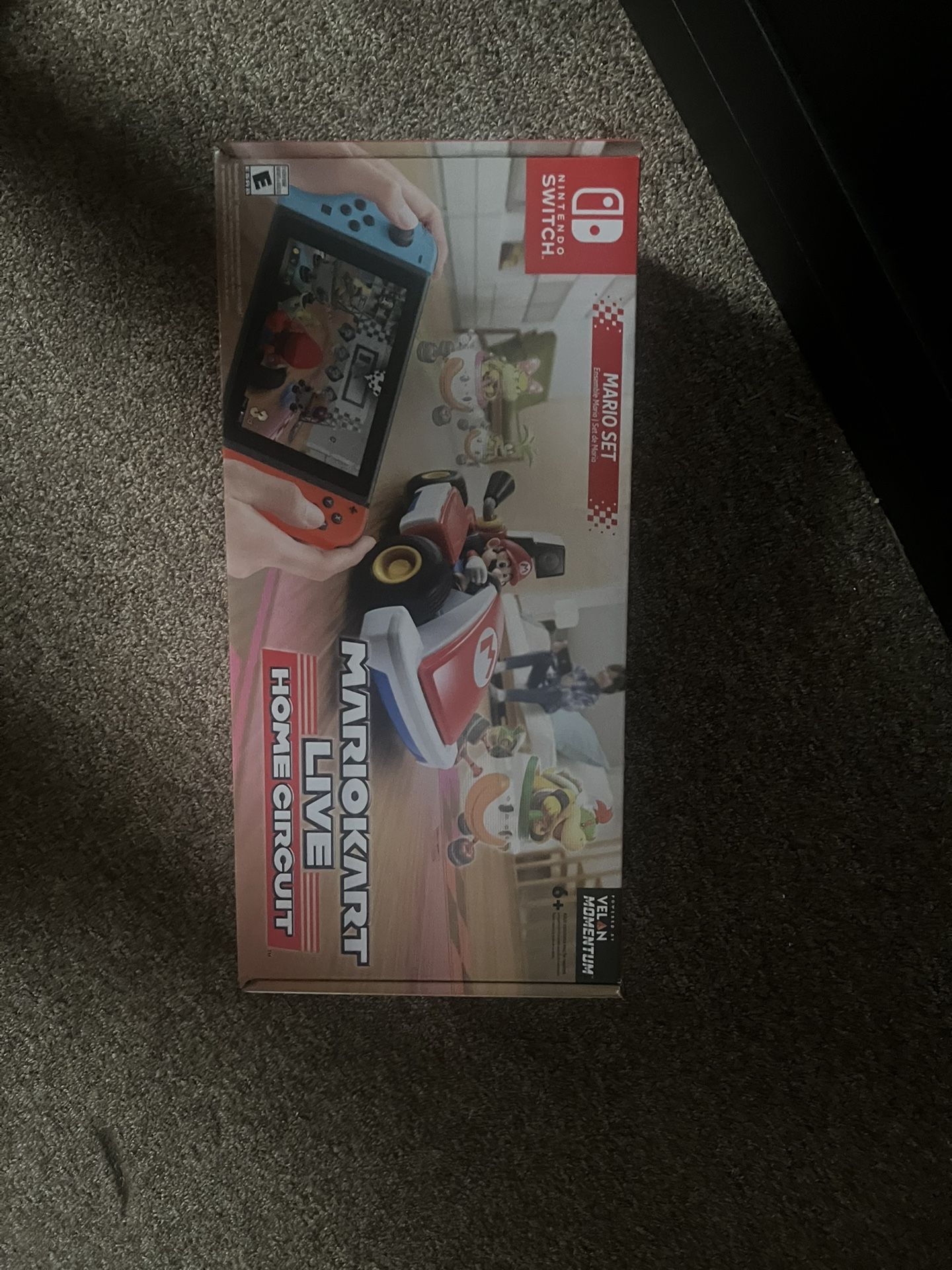 Nintendo Mario Kart Live