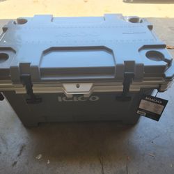 Igloo Cooler