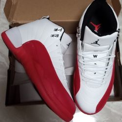 Cherry Jordan 12s