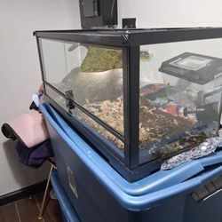30 Gallon Tank 