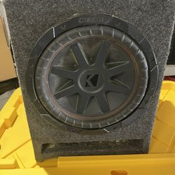 10 Inch Speaker 