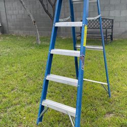 Luisville 6 Ft Ladder 