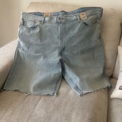 New Levi’s Men’s Loose Short Size 48 