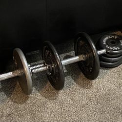 Offer up 2025 weight set