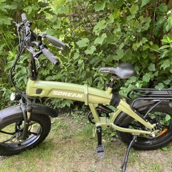 Electric Bike
