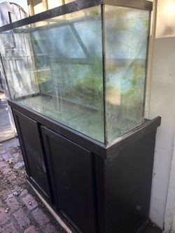 75 Gallos Aquarium
