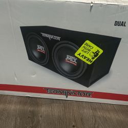 12” Subwoofer + Subwoofer Amplifier!