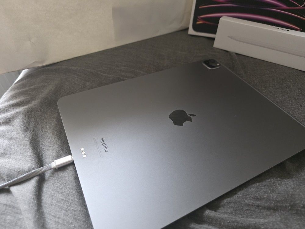 IPAD PRO 12.9 INCH (6th GENERATION 256GB