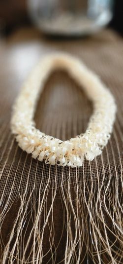 Graduation  Ribbon Lei