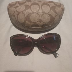 Coach Sunglasses 