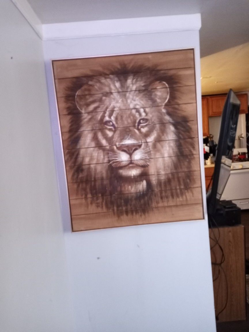 Lion Picture