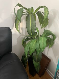 Artificial plant $40