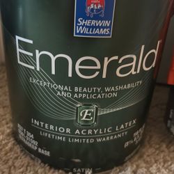 Great Interior Paint 