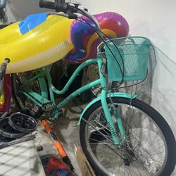 Beach Cruiser 