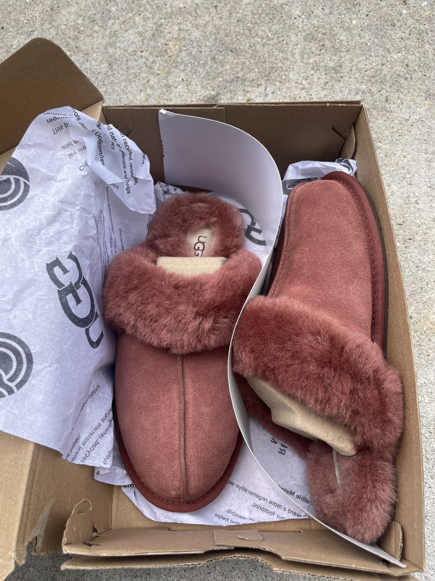 Ugg Slippers