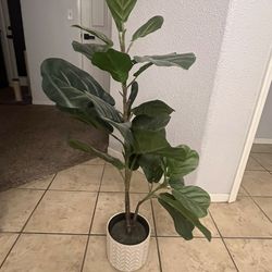 Faux Plant