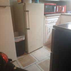 Older Model Upright Freezer