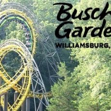 Busch Gardens Tampa!