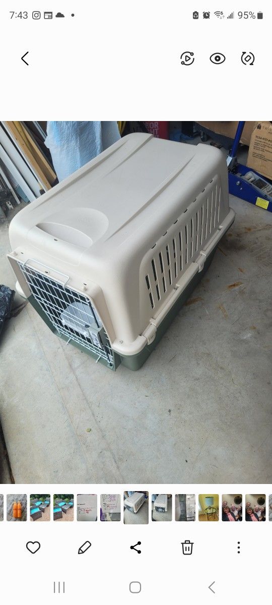 Dog Cage