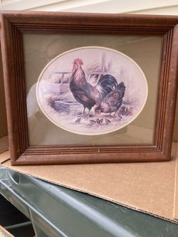 Rooster Picture 