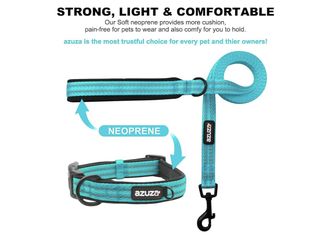 Dog Leash And Collar Set.