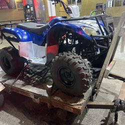 125cc Fully Automatic Quad