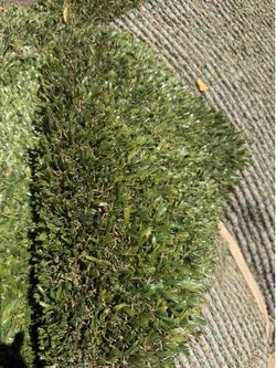 2 huge rolls of new turf