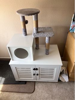Cat litter box / Scratch post