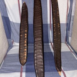 Set Of Three Seed Pods With Seeds In Them