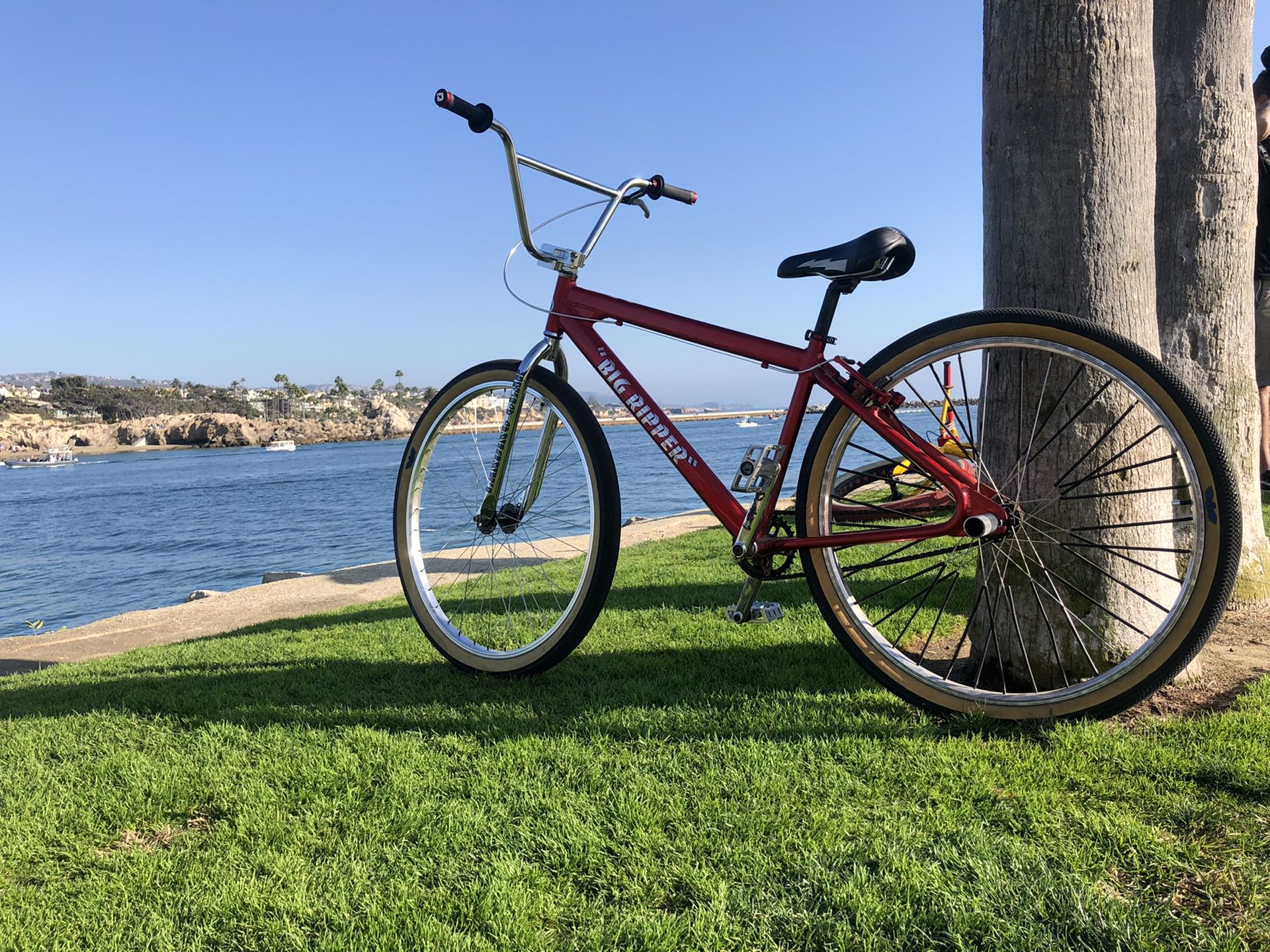 2019 SE Big Ripper for Sale in Lakewood, CA OfferUp