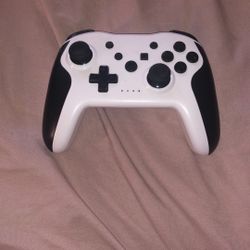 Nintendo Pro Controller