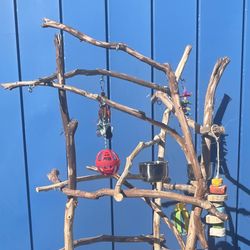 African Grey- Amazon Parrot Perch Tree… A New Play Spot For Mr Feathers … Custom Made , Breeder Direct Prices ! 