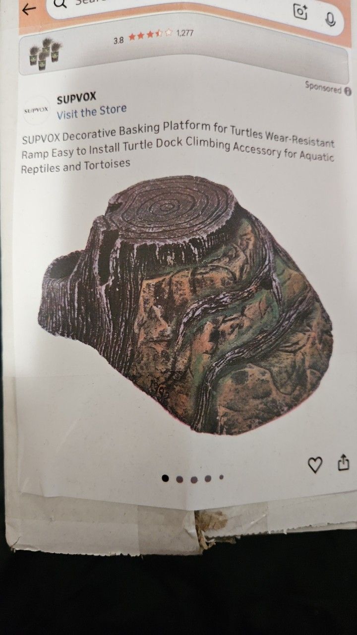 Rock Cave For Turtles