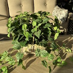 19” Silk Philodendron Plant In Wicker Basket 