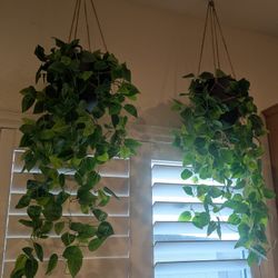 Fake Potted Vine Plants