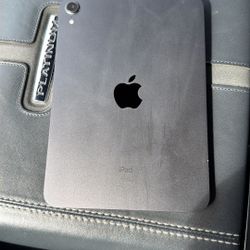 iPad Mini (6th Generation) 64GB WiFi 