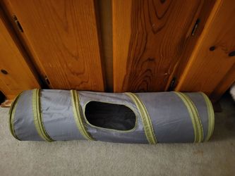 Cat Tunnel