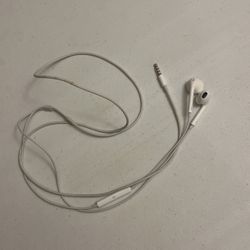 Apple Earphone