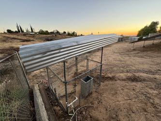 Feed And Wash Station Livestock, Goats, Pigs