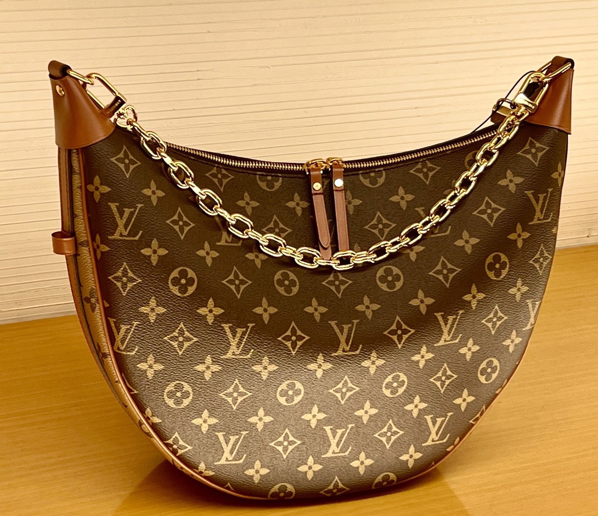 Louis Vuitton Hobo Bag 