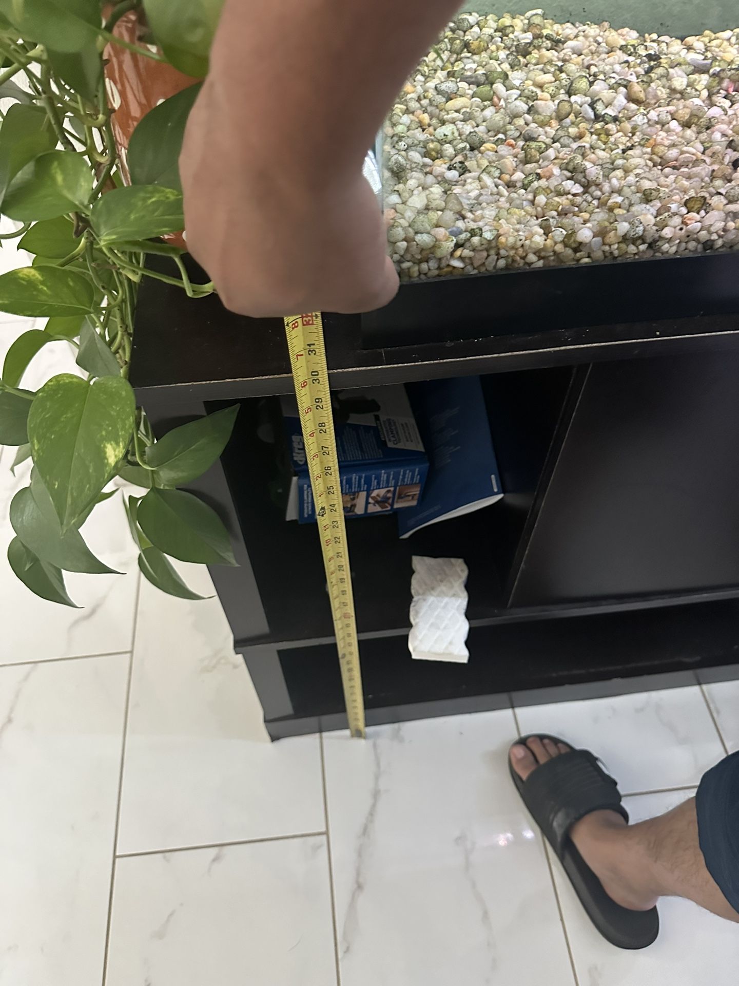 Fish Tank And Stand