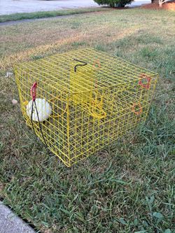 Crab Traps : Buy 1 get one FREE