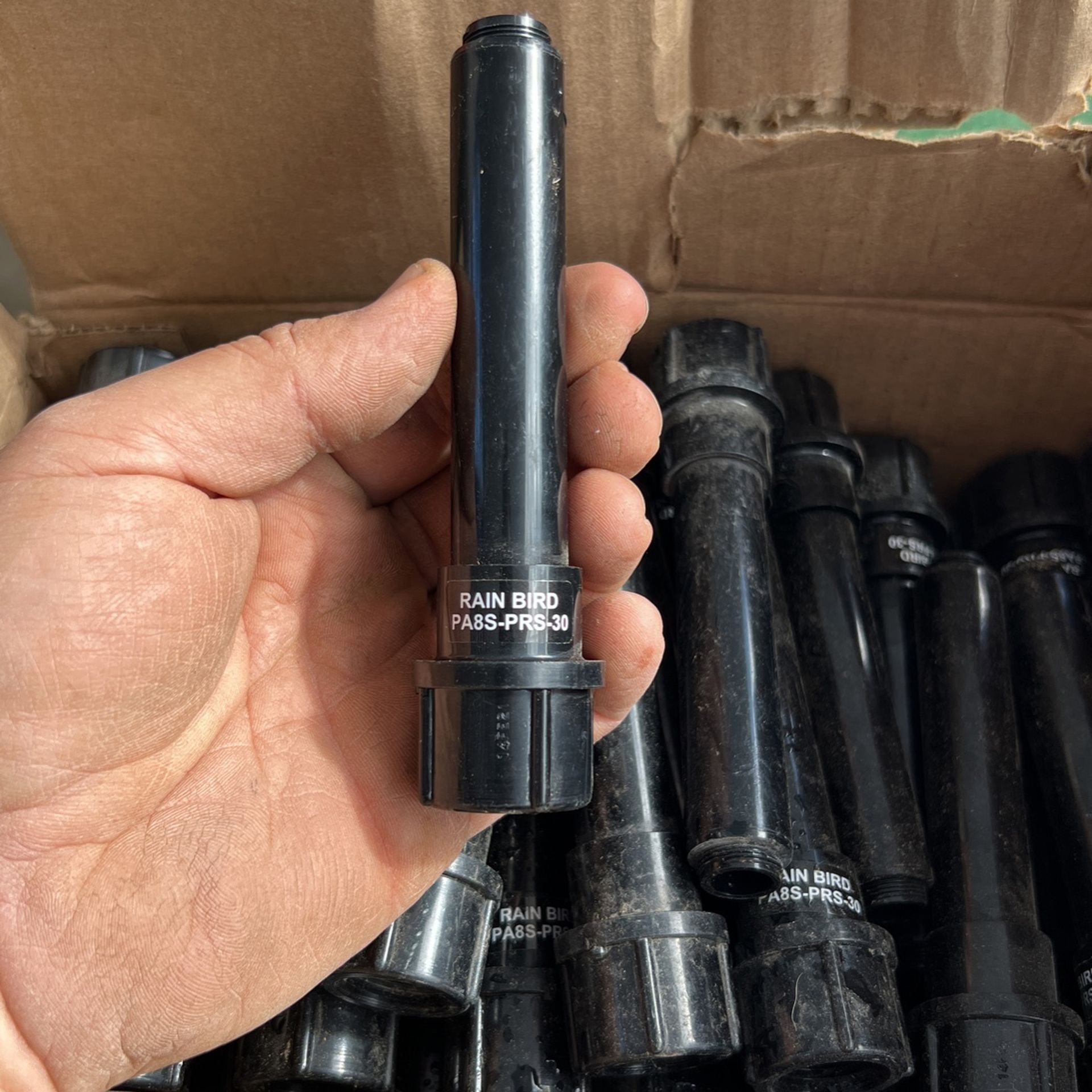 150 Sprinkler Riser Regulator Rain Bird PA8SPRS