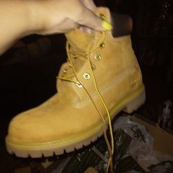 New Never Warn Timberland Boots 