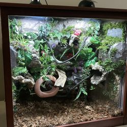 Custom Reptile Enclosure 