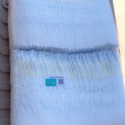Pampers Brand 