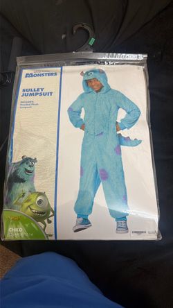 Monsters Inc sulley