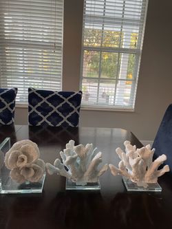 White Coral Decor Sculptures on Mirror Bases – Set of 3